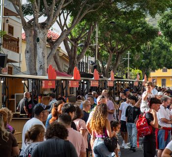 Adece celebrará la segunda edición de su Feria del Pollo