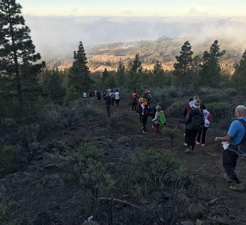 La XIX Ruta del Camino del Hermano Pedro se celebra el sábado 18 de abril