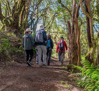 La Fundación CajaCanarias pone en marcha una nueva edición de enRuta