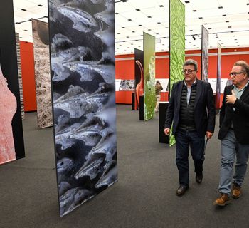 La exposición ‘Canarias al detalle’ revela la biodiversidad de las islas en el MUNA