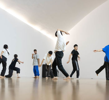 'Peces borrosos'  en residencia artística