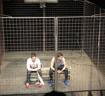 'Tebas Land' de Timbre 4 en Santa Cruz de Tenerife