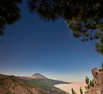 Encuentros en el M/A/L 2026 reflexiona sobre memoria y compromiso social a través de la mirada del fotoperiodista Tomás Rodríguez