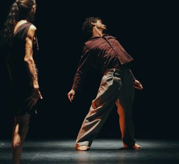 'Delicada caída', de Carmen Werner y Provisional Danza (Madrid), en el Teatro Victoria