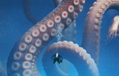 42º Festival Internacional de Música de Canarias