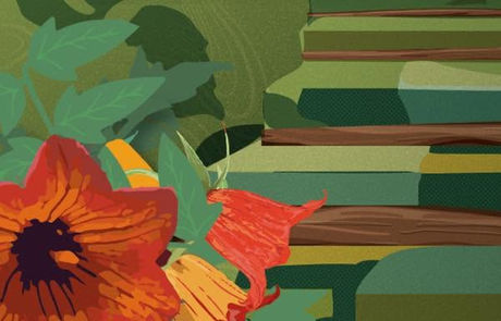 El Festival Taganana celebra Anaga desde la cultura, la naturaleza y el encuentro