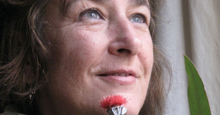 'Millares 1966' de Alberto Portera y charla con Alicia Chillida tenerife cine arte marzo 2026