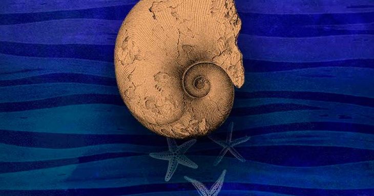 El Festival Encuentros en el Mar celebra su XXII edición tenerife cultura 2026