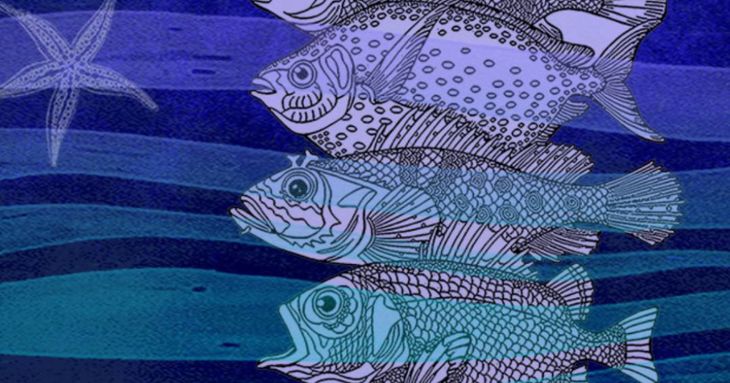 'Comer con los ojos' en Encuentros en el Mar 2026 tenerife gastronomía taller