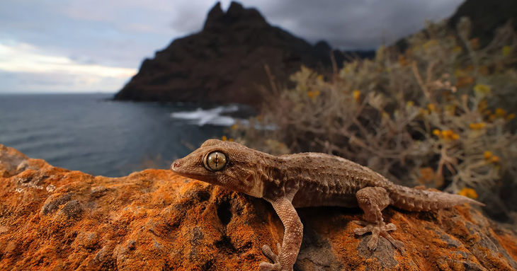 El VII Festival Taganana abre convocatoria para 'Descubre Anaga' 2026 tenerife fotografía