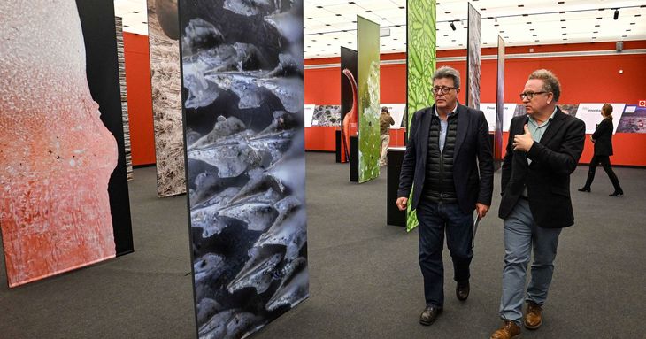 La exposición ‘Canarias al detalle’ revela la biodiversidad de las islas en el MUNA tenerife arte 2026