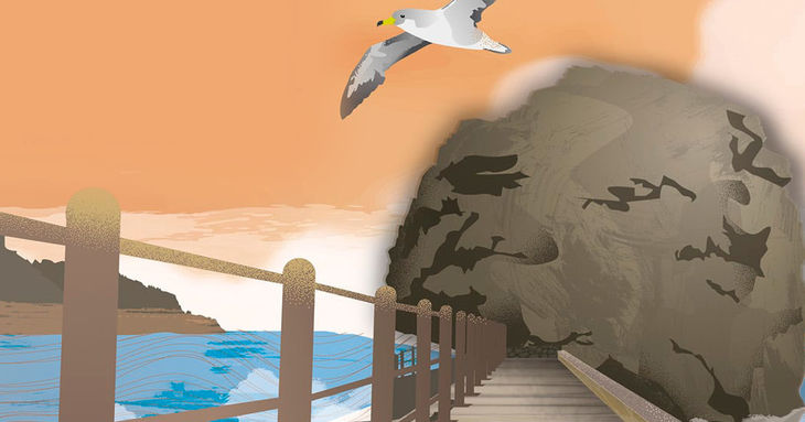 El Festival Taganana vuelve el 22 y 23 de agosto tenerife 2025