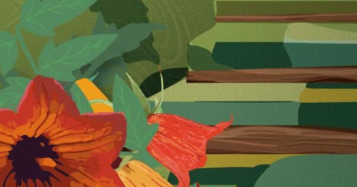 El Festival Taganana celebra Anaga desde la cultura, la naturaleza y el encuentro santa cruz tenerife 2026