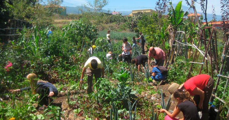 'Bombas de semillas' y 'El museo como ecosistema' Fotonoviembre Tenerife 2020