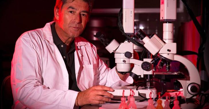 'Introducción a la fotografía científica' Luis Monje en FICMEC 2026