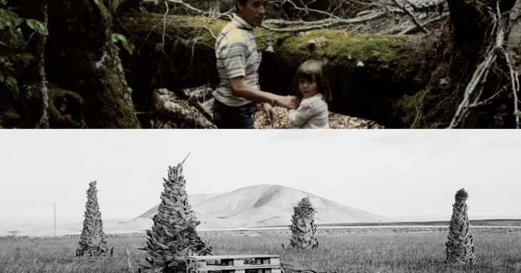 Mato Grosso' y 'Endémico' en Fotonoviembre 2025