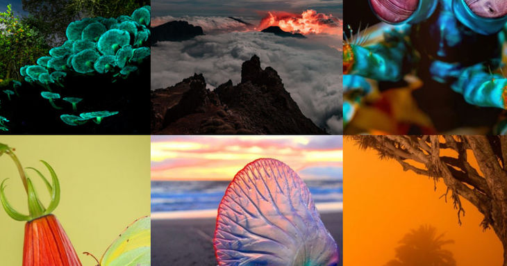 Naturajazz 2024 tenerife jazz fotografía naturaleza noviembre museo