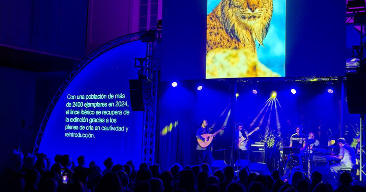 Balance de Naturajazz 2025 tenerife jazz fotografía festival