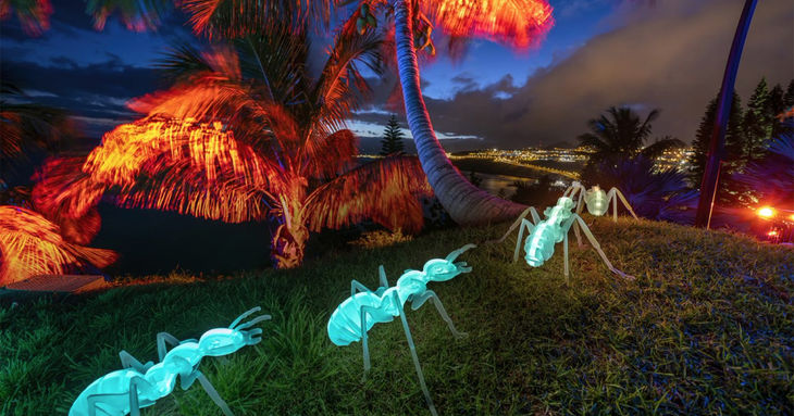 Naturaleza Encendida vuelve a el Palmetum de Santa Cruz 2021