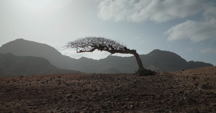 'Amílcar' y 'Nós, povo das ilhas' en Docanarias tenerife cine 2026