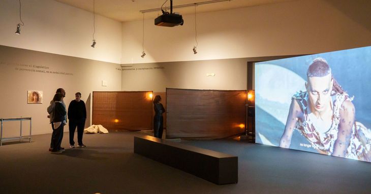 Cabello/Carceller inauguran en el museo TEA 'Notas al pie' santa cruz tenerife abril 2026