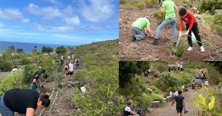 Keroxen celebra una nueva jornada de reforestación en Bajamar tenerife noviembre 2025