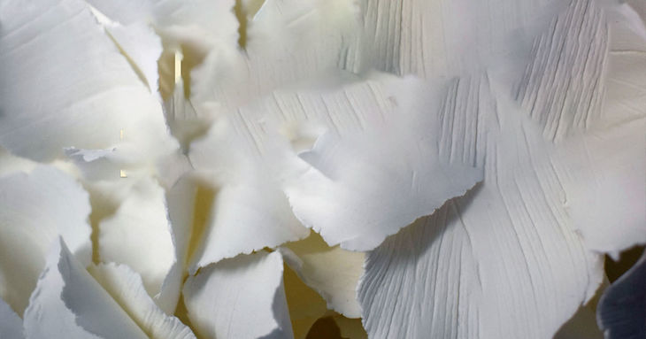 Santa Cruz inaugura la exposición 'Solo queda una planta de la abuela' tenerife enero 2026