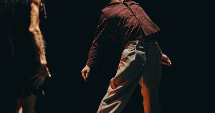 'Delicada caída', de Carmen Werner y Provisional Danza (Madrid), en el Teatro Victoria tenerife abril 2026