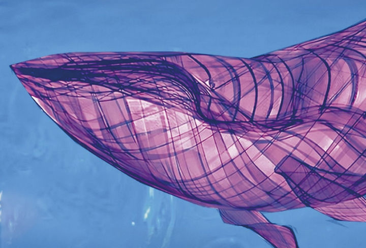 boca adentro juventud a escena abril 2026