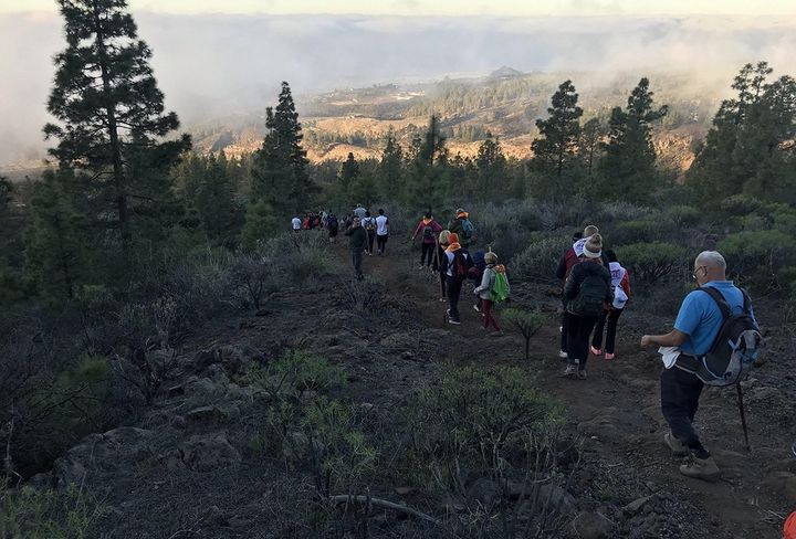 camino_del_hermano_pedro