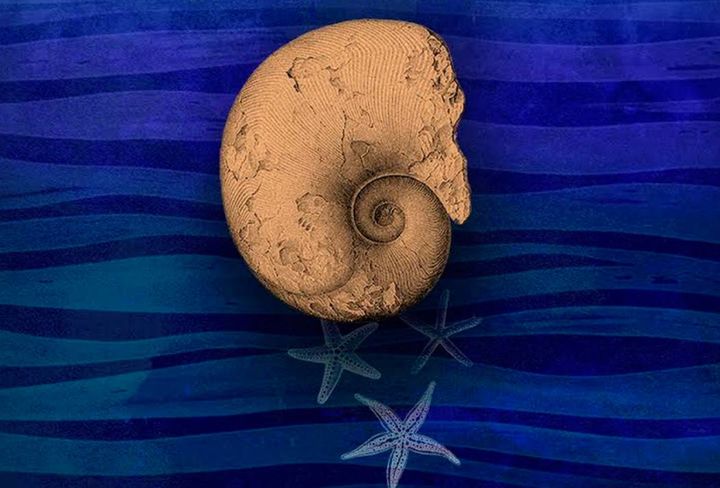 cauproges_festival_encuentros_mar