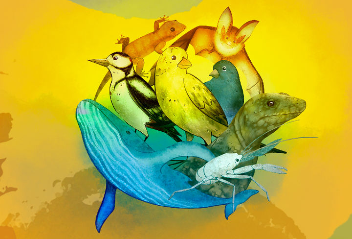 el_carnaval_de_los_animales_canarios