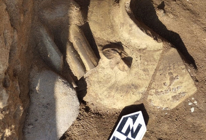  excavaciones en la isla de Lobos fuerteventura museos tenerife ull