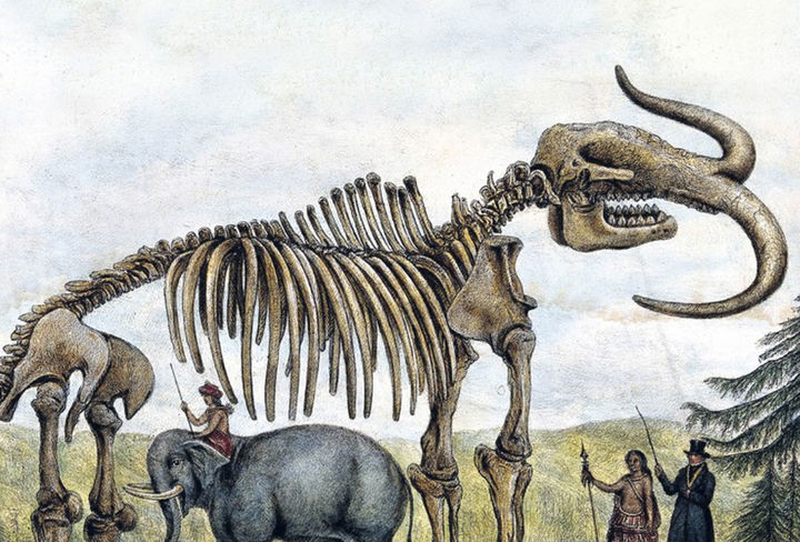 desaparecidos charla extincion tenerife tea septiembre 2026 notodo