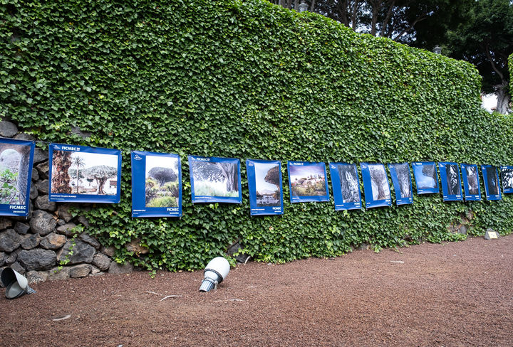 concurso fotografía icod ficmec 2026 tenerife luz sosa