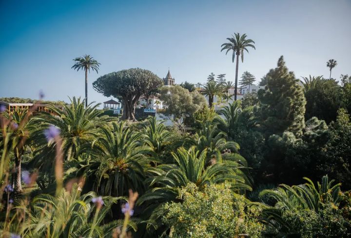 concurso fotografía ficmec parque del drago tenerife 2026