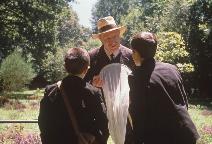 la_lengua_de_las_mariposas_2