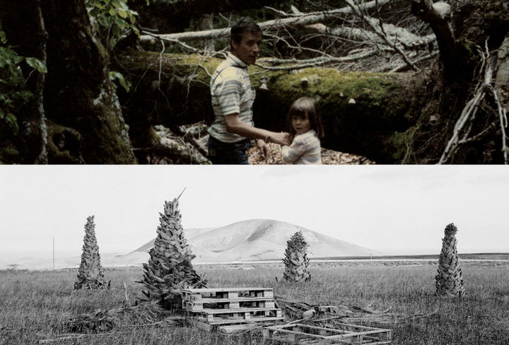 Mato Grosso' y 'Endémico' en Fotonoviembre 2025 tenerife fotografía