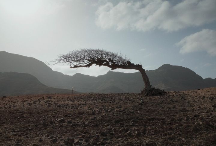nos povo das ilhas docanarias tenerife 2026