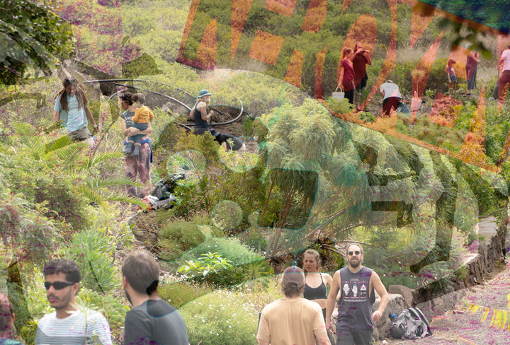 keroxen desplantate tenerife 2026