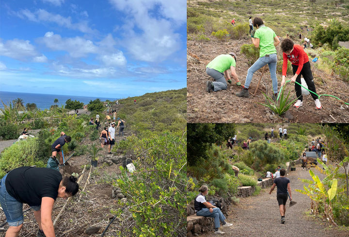 Keroxen celebra una nueva jornada de reforestación en Bajamar tenerife noviembre 2025