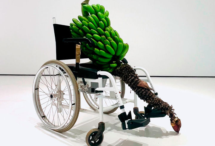 bibli teresa arozena