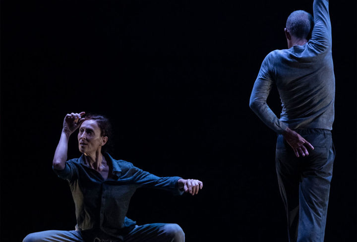 modelo de las Unidades Dād