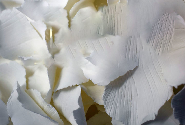 solo-queda-una-planta-de-la-abuela