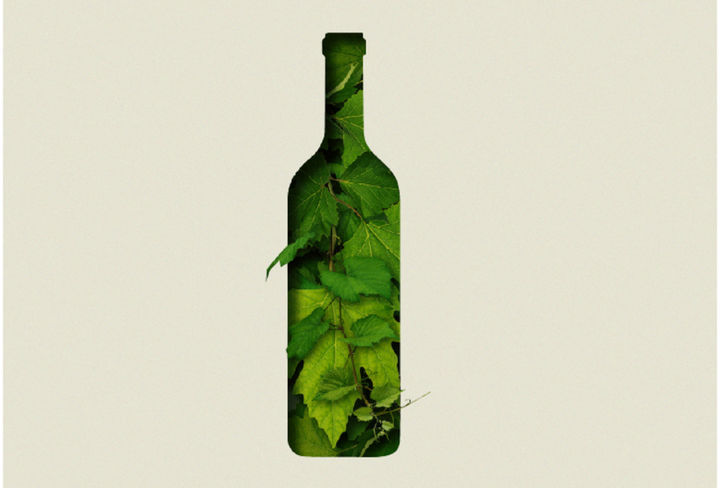 vinotegueste
