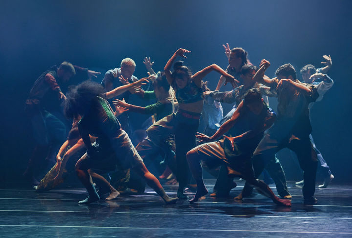 Wild Poetry Mapas 2026 tenerife