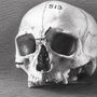 'Violencia en el mundo antiguo: el contexto aborigen canario'
