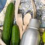 Feria Agroecológica FICMEC 2026