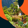 I Island² Chem Conference Bridging Tenerife & Manhattan