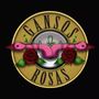 Gansos Rosas - Tributo a Guns N'Roses